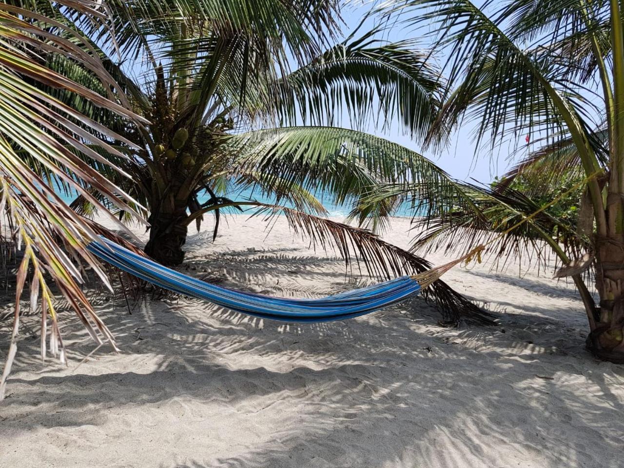 Camping Castilletes Parque Tayrona Bed and Breakfast El Zaino Exteriör bild